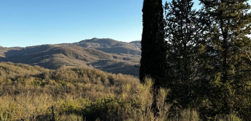 Casale “Pietra Viva”