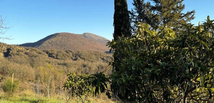 Casale “Pietra Viva”