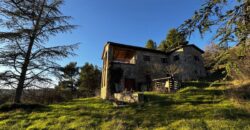 Casale “Pietra Viva”