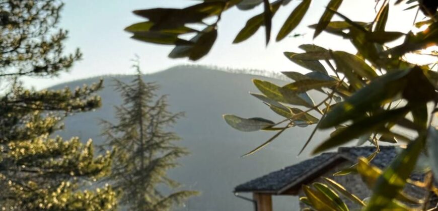 Casale “Pietra Viva”