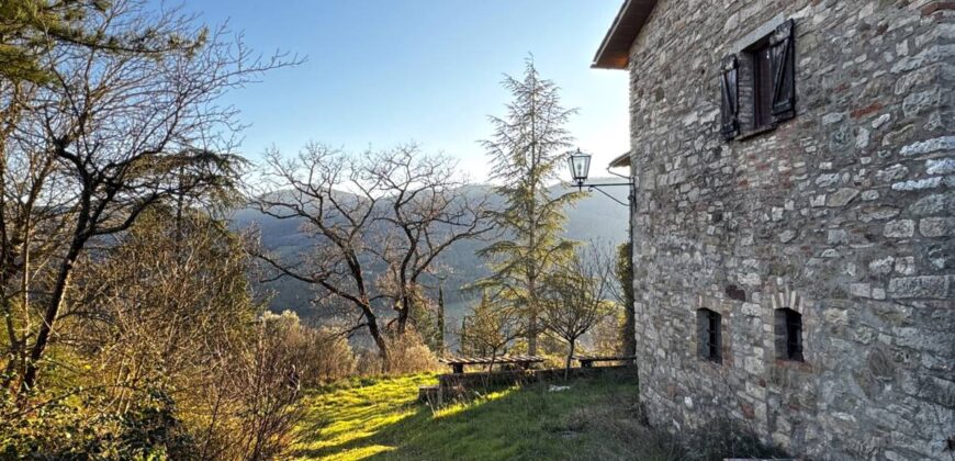 Casale “Pietra Viva”