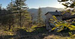 Casale “Pietra Viva”