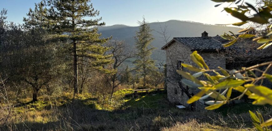 Casale “Pietra Viva”