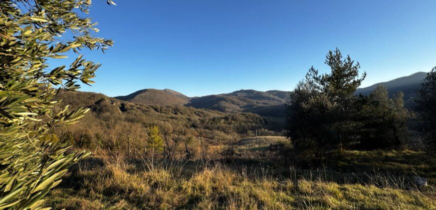 Casale “Pietra Viva”