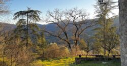 Casale “Pietra Viva”