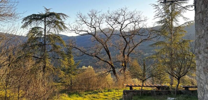 Casale “Pietra Viva”