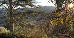 Casale “Pietra Viva”