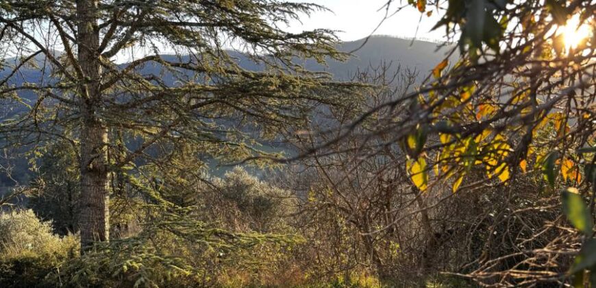 Casale “Pietra Viva”