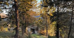 Casale “Pietra Viva”