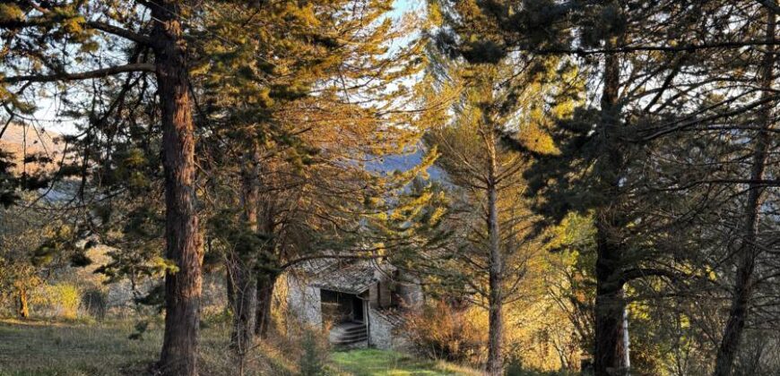 Casale “Pietra Viva”