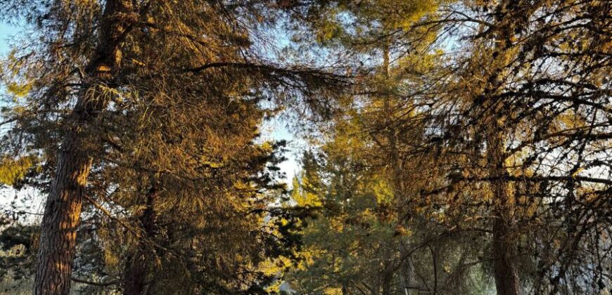 Casale “Pietra Viva”