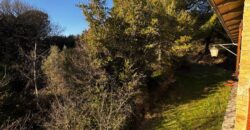 Casale “Pietra Viva”