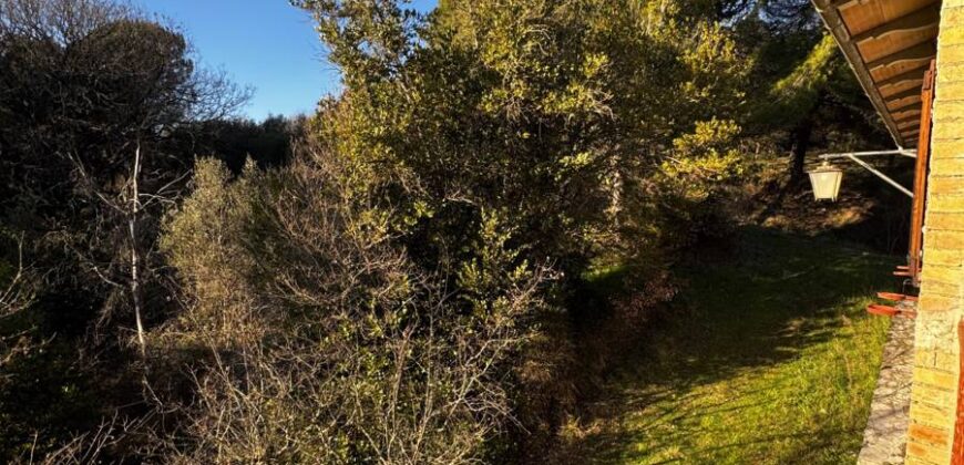 Casale “Pietra Viva”