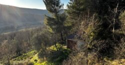 Casale “Pietra Viva”