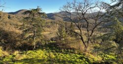 Casale “Pietra Viva”