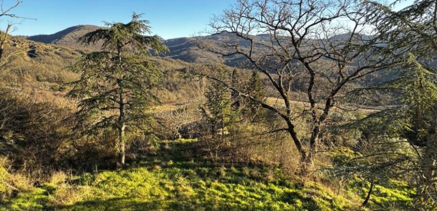 Casale “Pietra Viva”