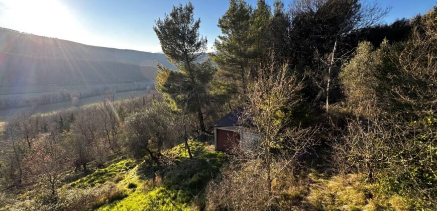 Casale “Pietra Viva”