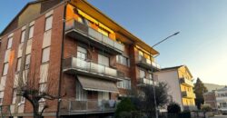 Bright apartment in central area