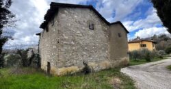 Ruin “The Wind Tower”