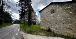 Ruin “The Wind Tower”