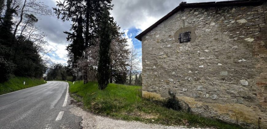 Ruin “The Wind Tower”