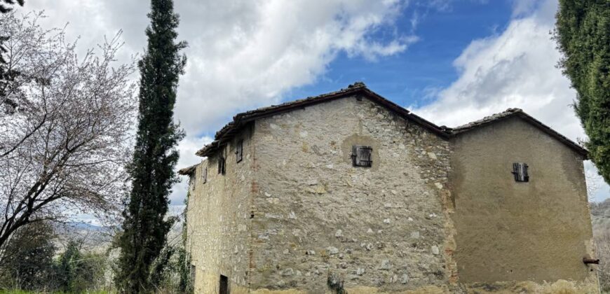 Ruin “The Wind Tower”