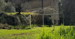 Ruin “The Wind Tower”