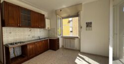 Bright apartment in central area