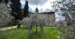 Ruin “The Wind Tower”