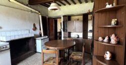 “Ancient Breath”