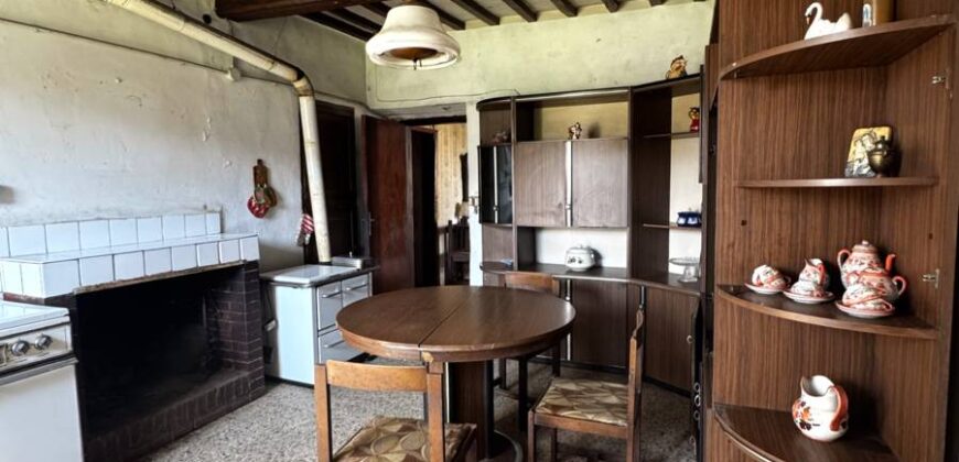 “Ancient Breath”