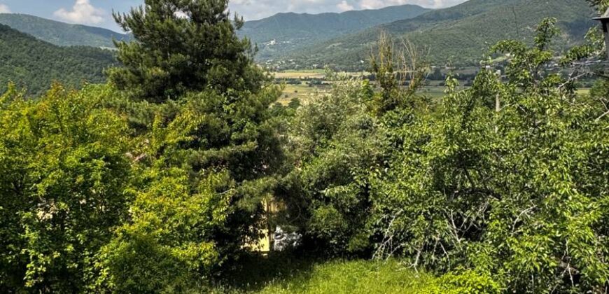 “Lisciano Retreat”