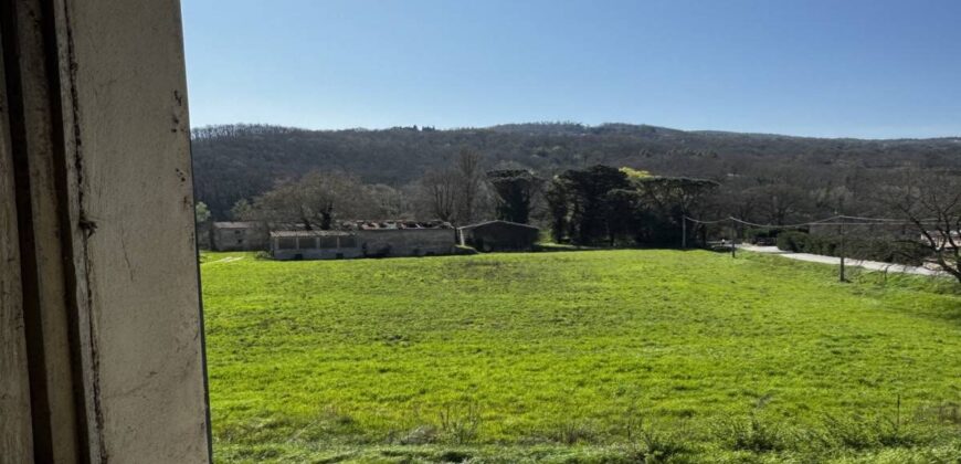 “Ancient Breath”