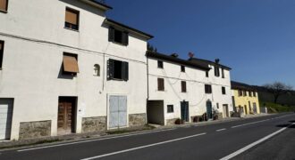 “Ancient Breath”