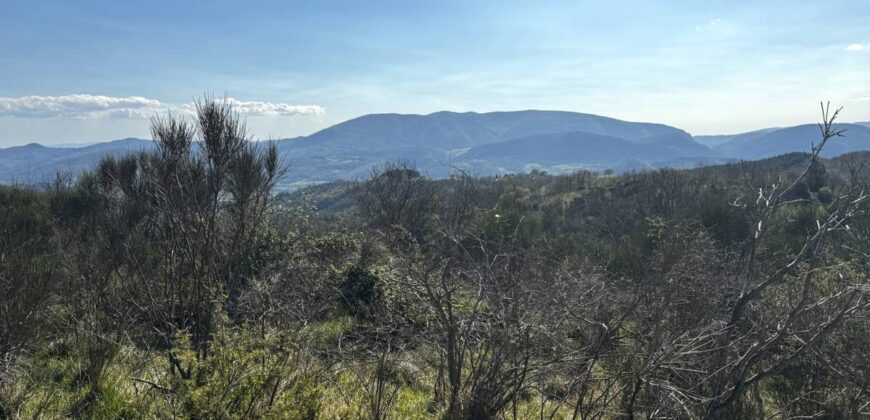 “Casale del Vento”