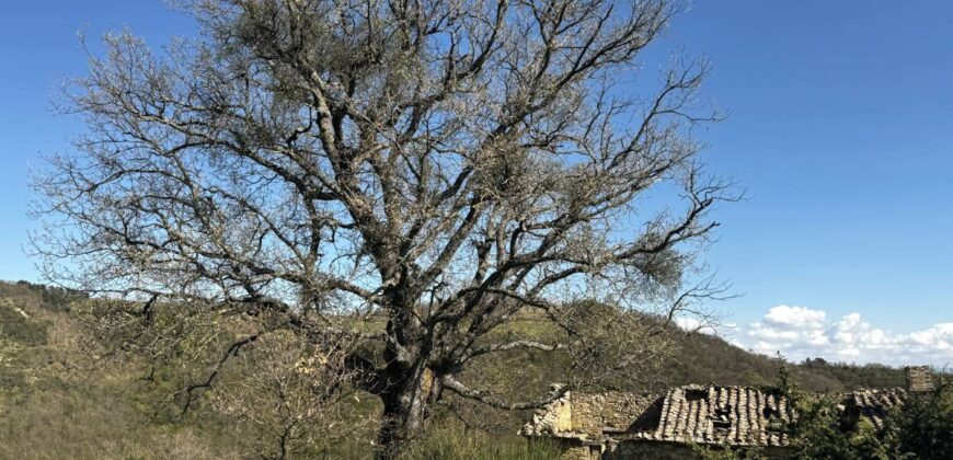 “Casale del Vento”