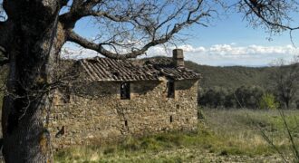 “Casale of the Wind”