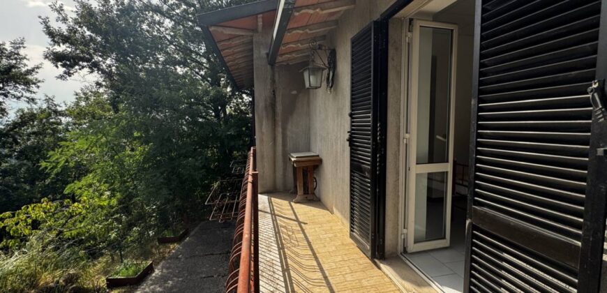 “The Refuge of Scritto”