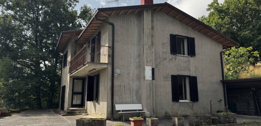 “The Refuge of Scritto”