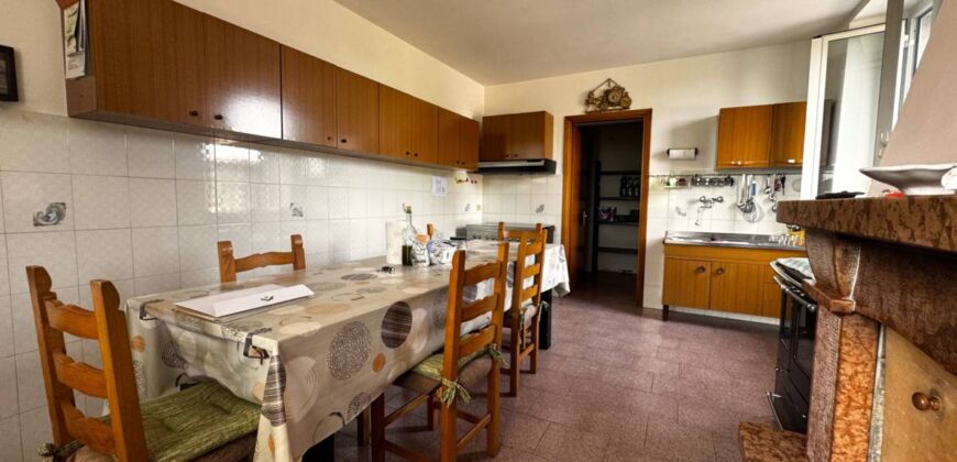 “The Refuge of Scritto”