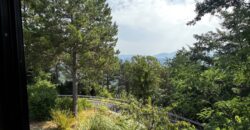 “The Refuge of Scritto”