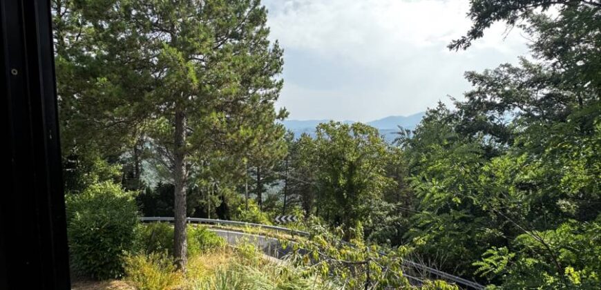 “The Refuge of Scritto”