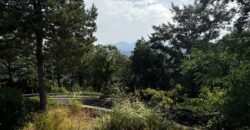 “The Refuge of Scritto”