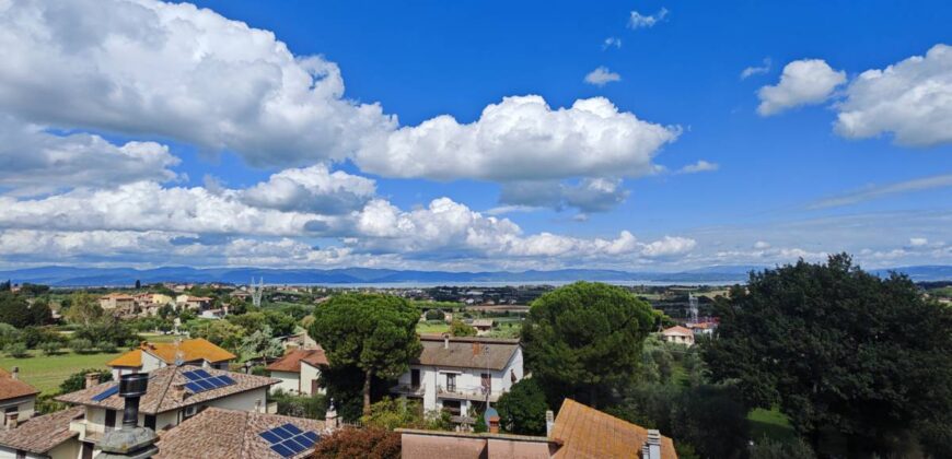 Apartment “AltaMira”