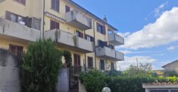 Apartment “AltaMira”