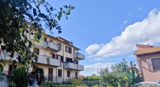 Apartment “AltaMira”