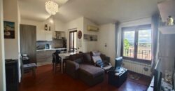 Apartment “AltaMira”