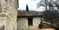 “The Quiet of Migianella”