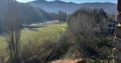 “The Montone Lodge”