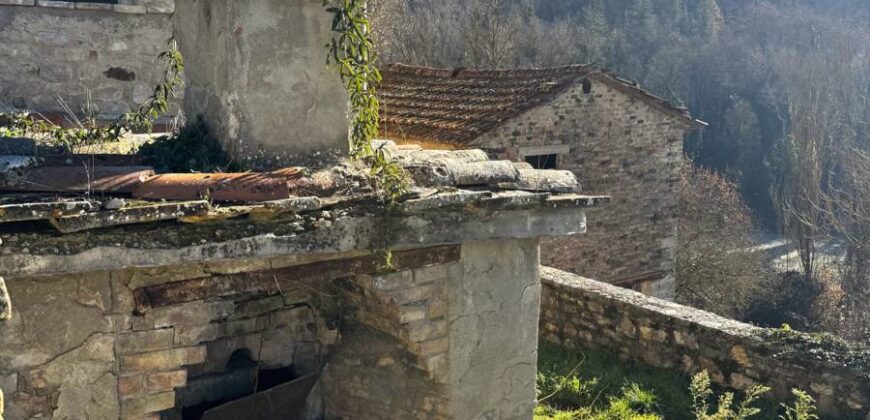 “The Montone Lodge”